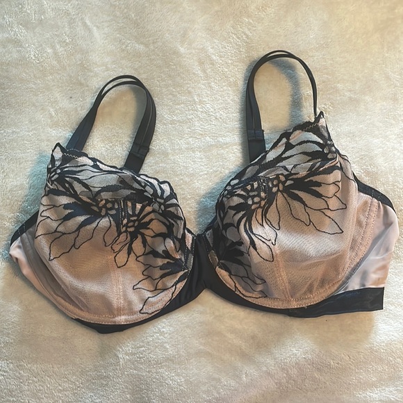 Chantelle Intimates & Sleepwear Barely Used Chantelle Sheer Bra Poshmark